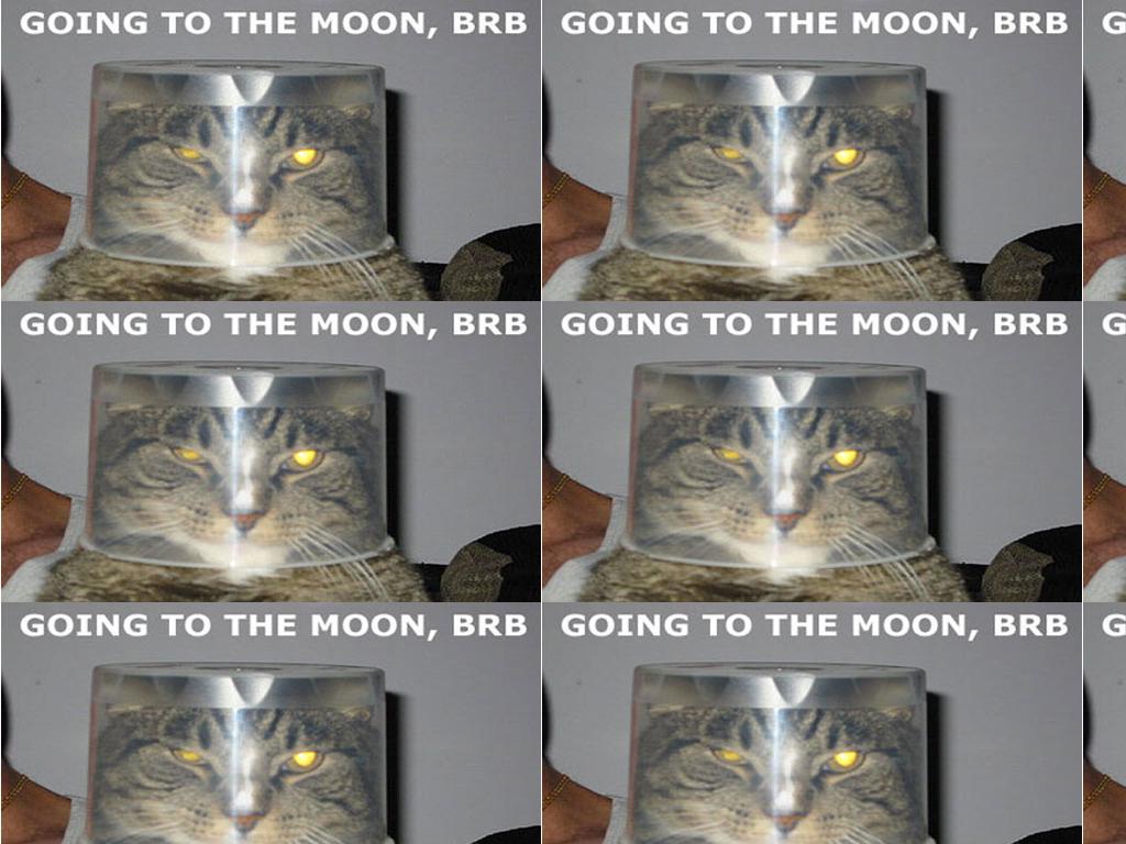 brbmoon