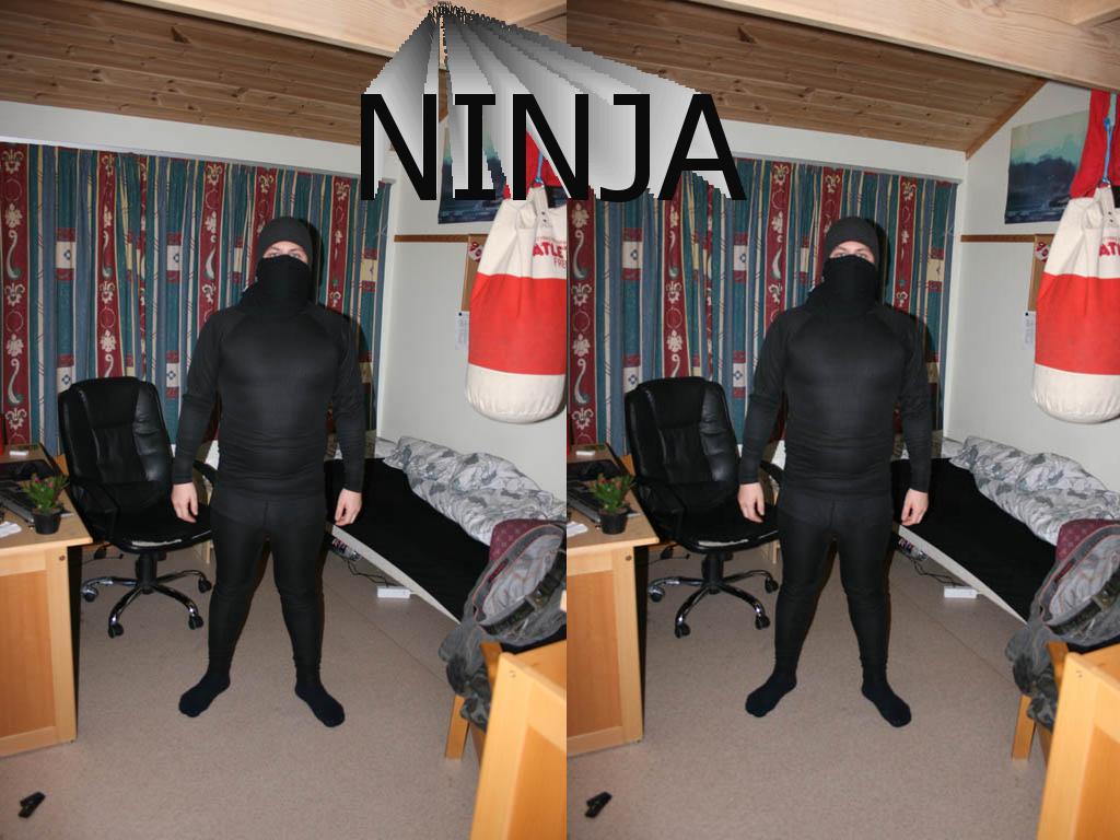 frodeninja