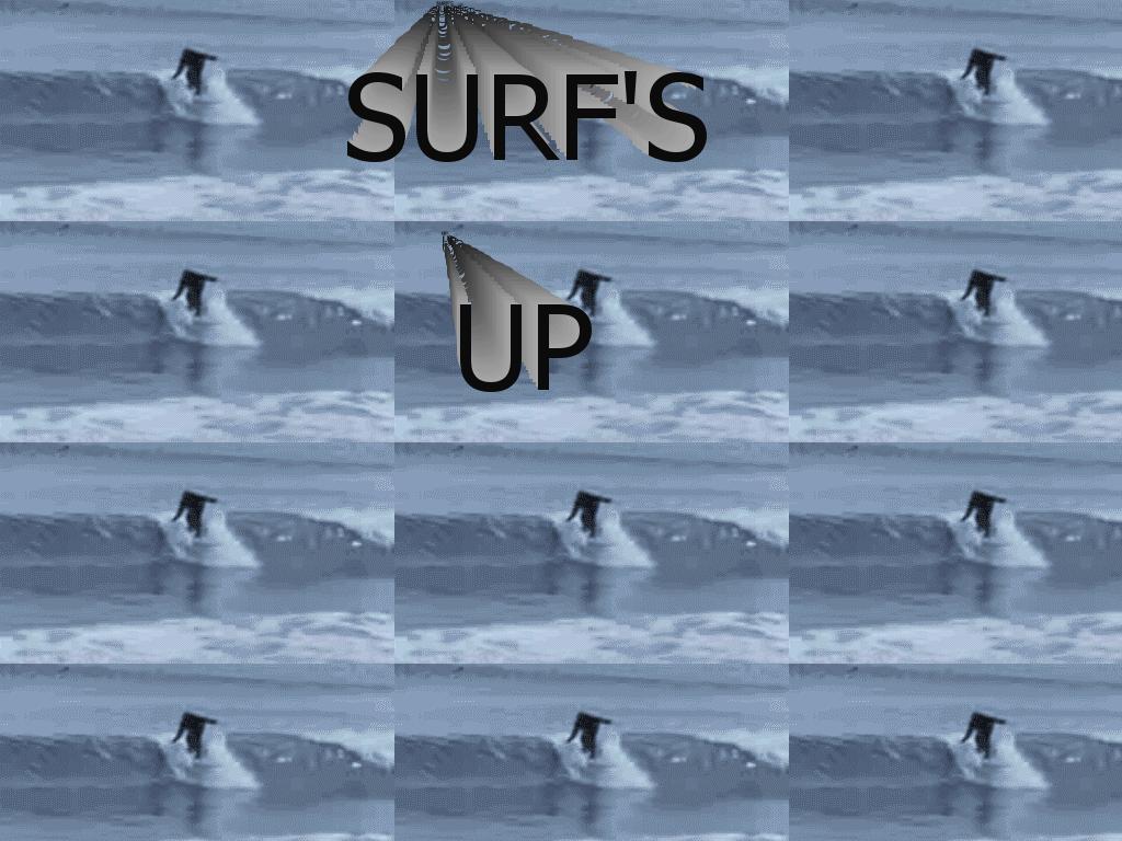 surfmonkey