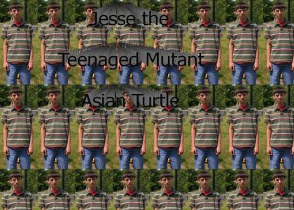 Turtle power asian