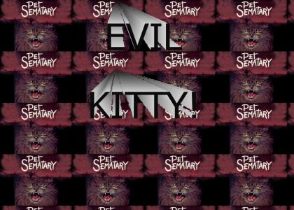 EVIL KITTY FROM PET SEMATARY!