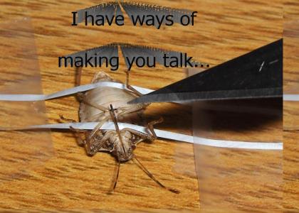 Interrogated bug!