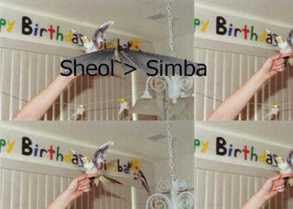 It's Simba's Birthday!