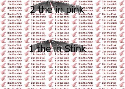 2inPink1inStink