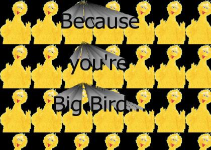 Because you're Big Bird...