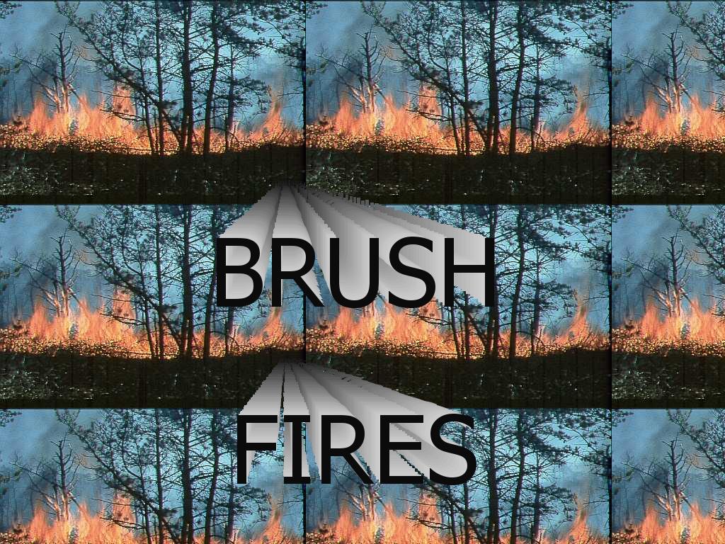 brushfireforest