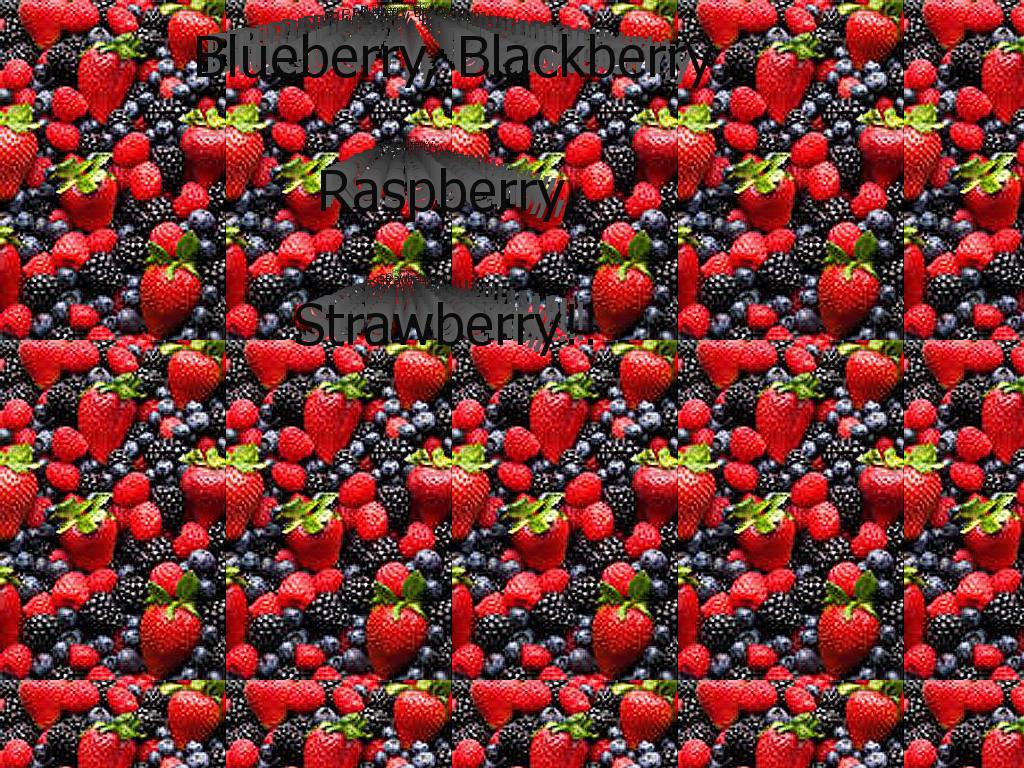 bbrsberries