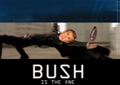 Matrix Bush