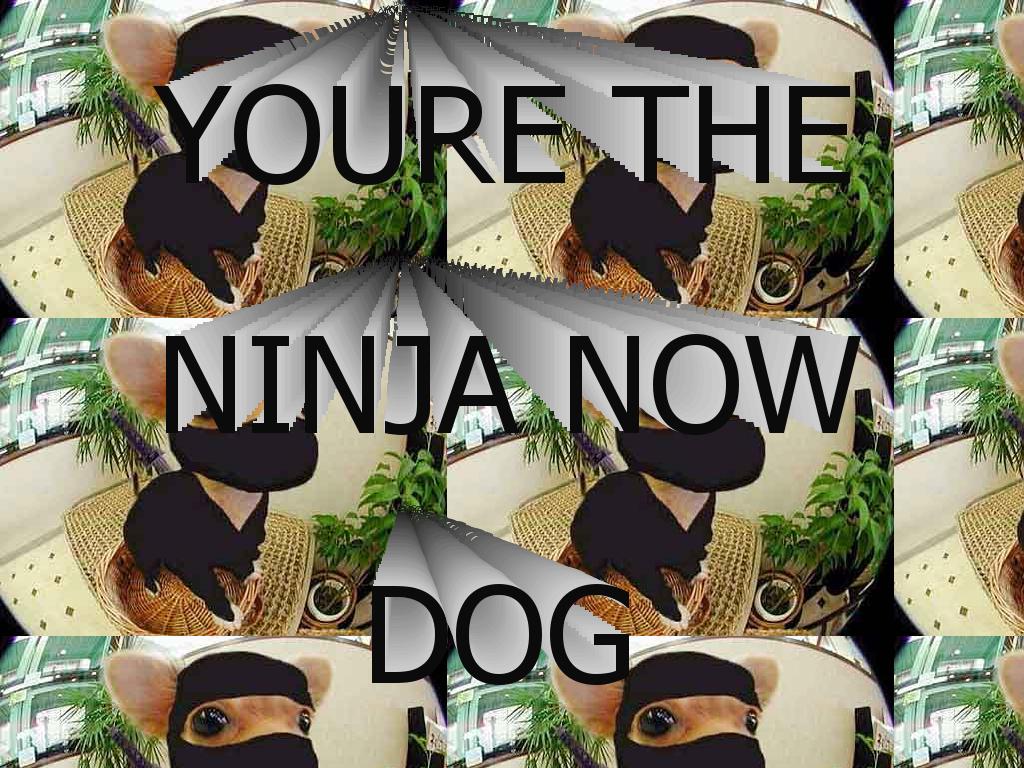 ninjadog