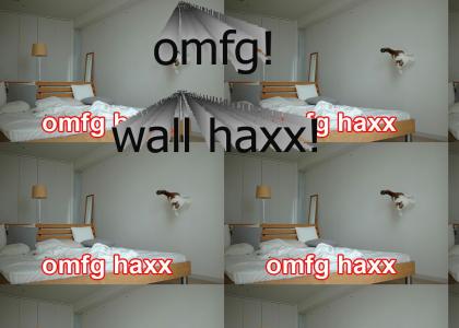cat does wall haxx