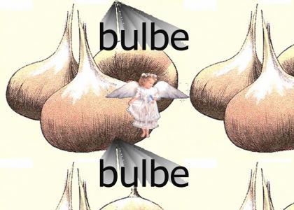 bulbe