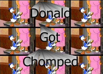 Donald Owned