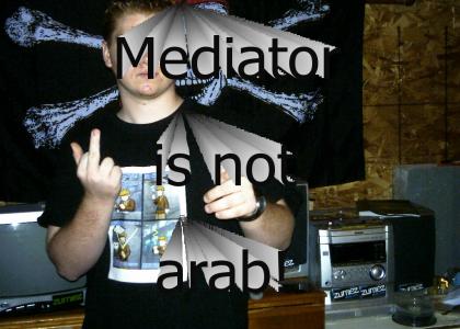 Mediator is not arab