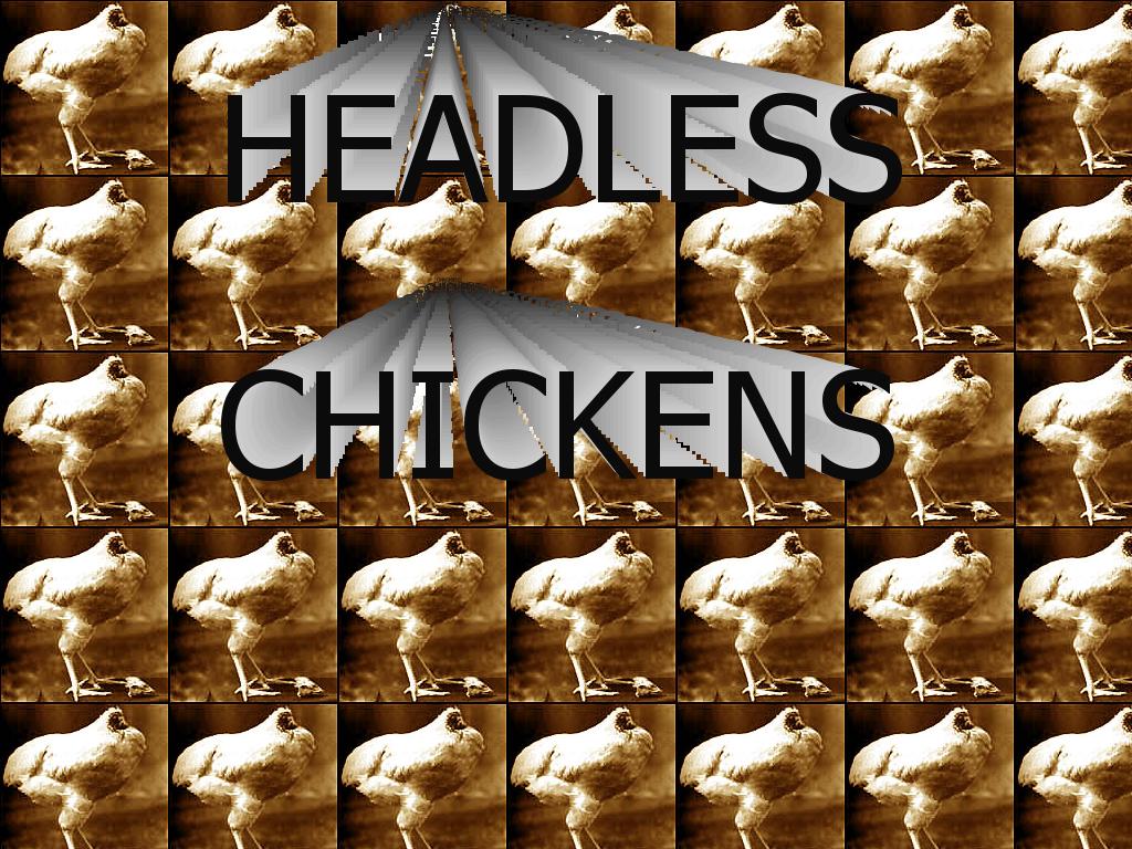 headlesschickens