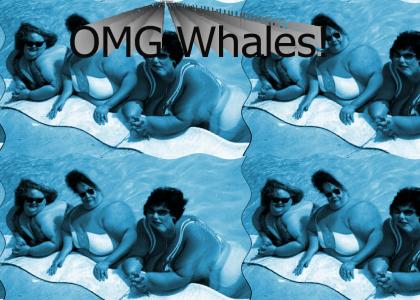 OMG fat whales