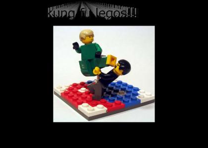 kung fu legos!!!!