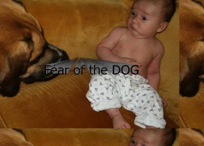 Fear of the dog