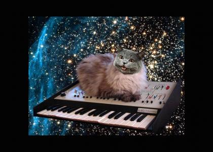Another cat on a keyboard ytmnd?