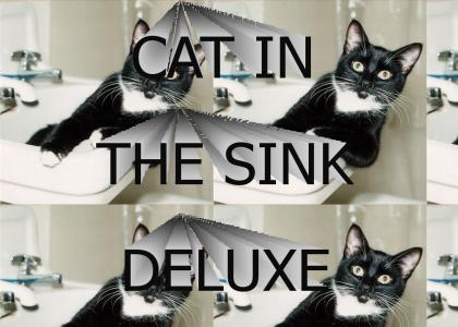 CAT IN THE SINK DELUXE