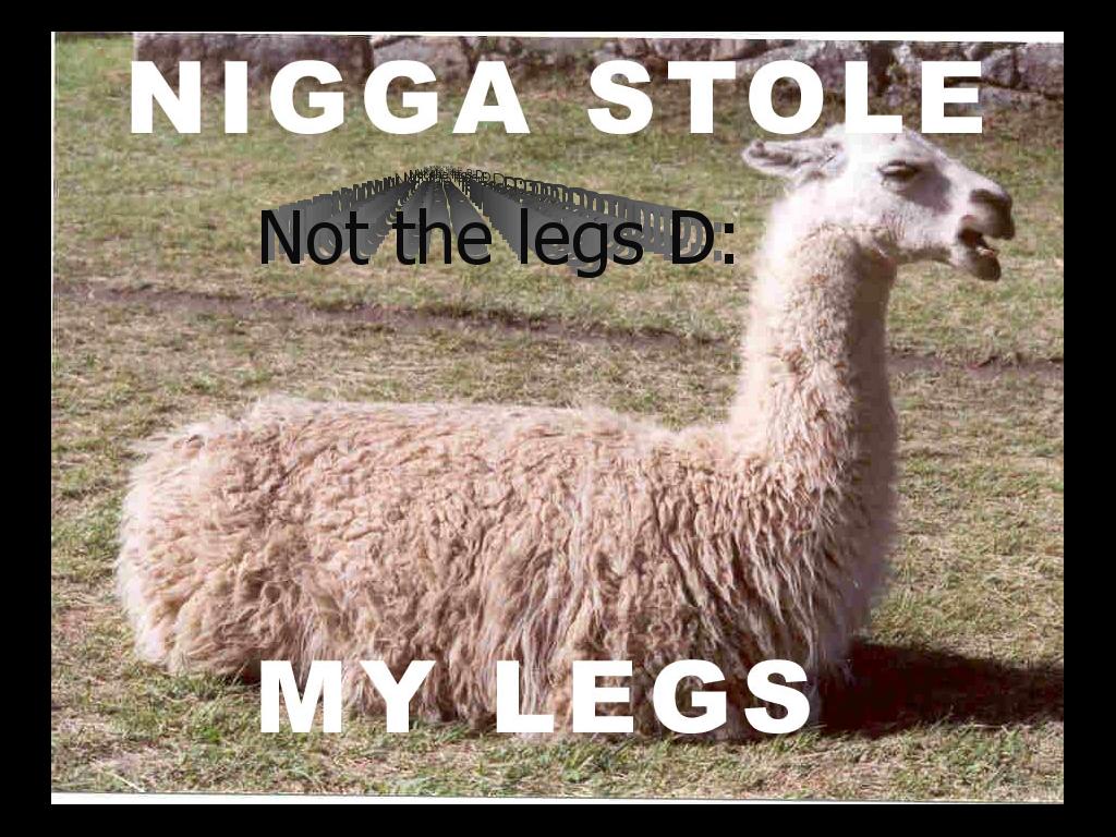 niggastolelegs