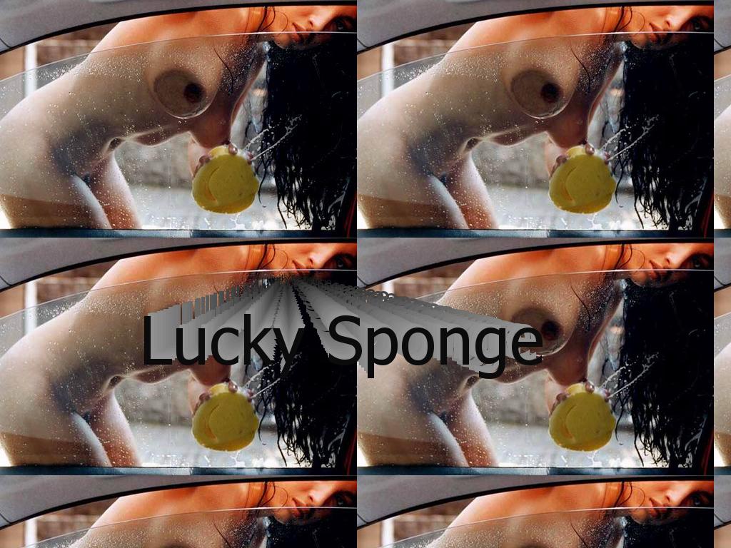 luckysponge