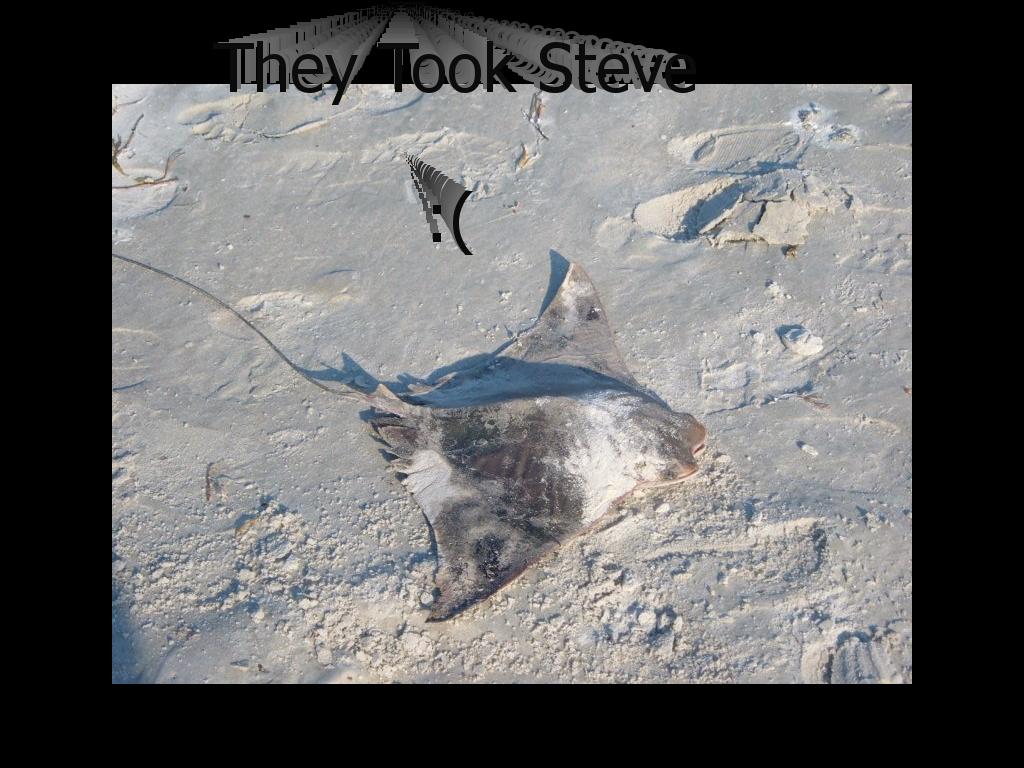 theytooksteve