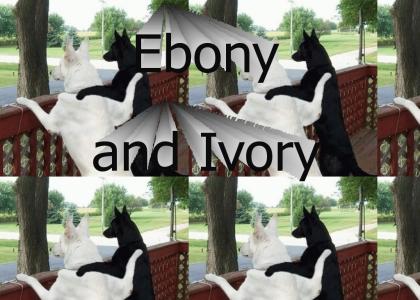 Ebony and Ivory--Doggy Style