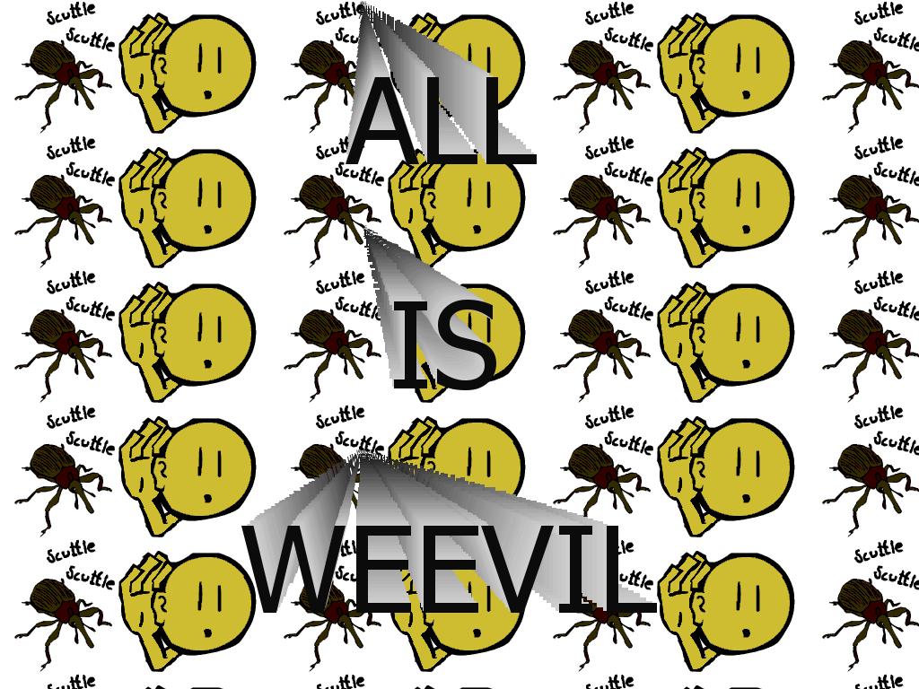 weevil