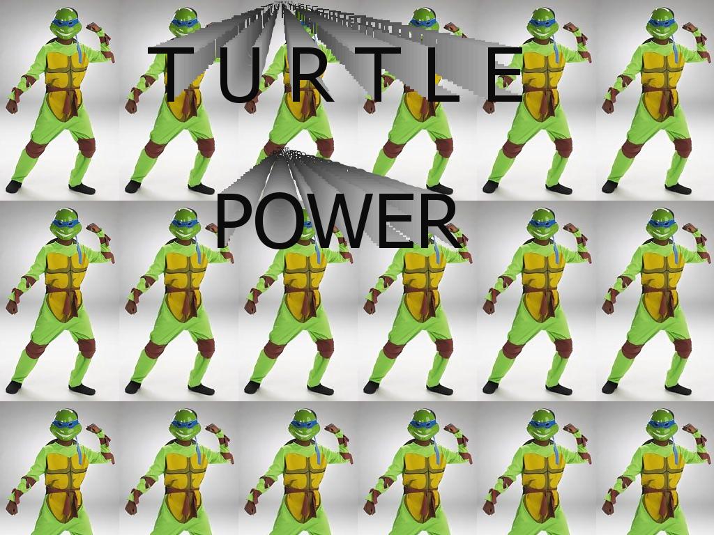 turtlepower