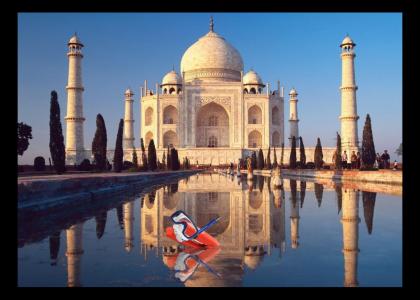 Stapler Misbehaves at the Taj Mahal