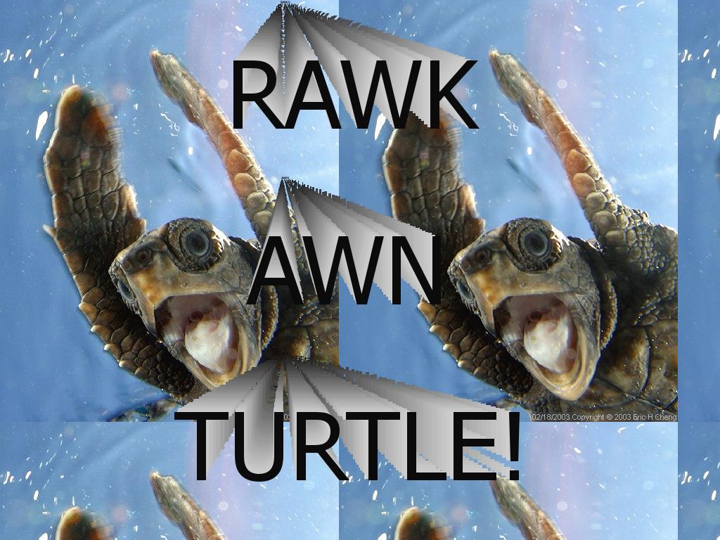 rawkawn
