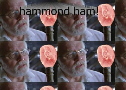 Ham on Ham