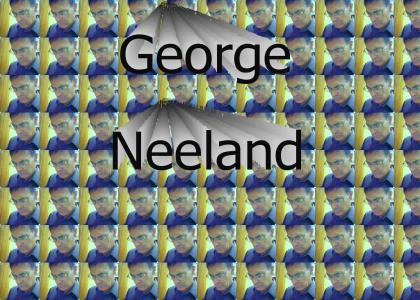 Neeland