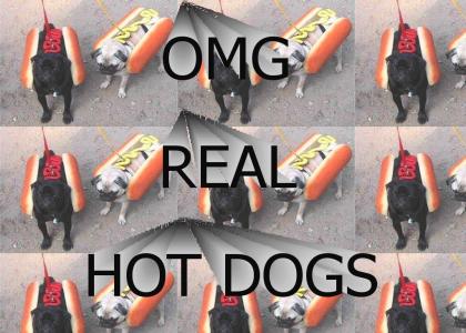 Hot Doggies