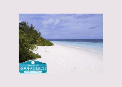 Destination: Koopa Beach