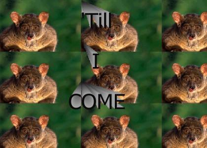 'Till I Come