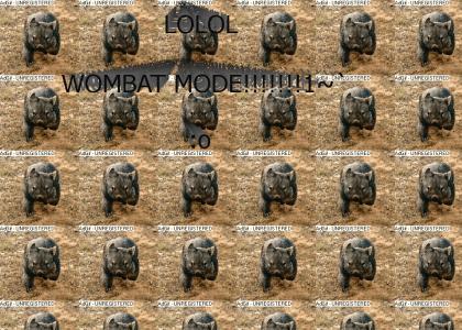 WOMBAT CHARGE!!!!!!!!!!!!!!!!!!1