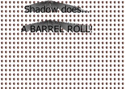 Shadow does teh BARREL ROLL!