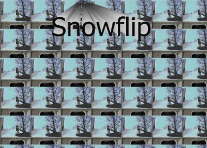 Snowflip