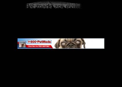 Pug dog Banner is possessed the devil