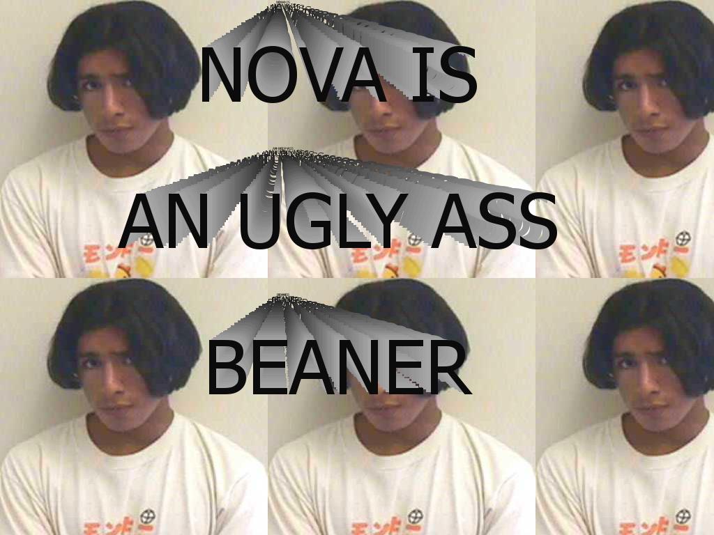 novaisgay