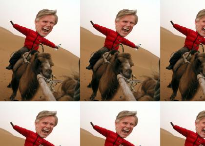 Busey Loves Camels