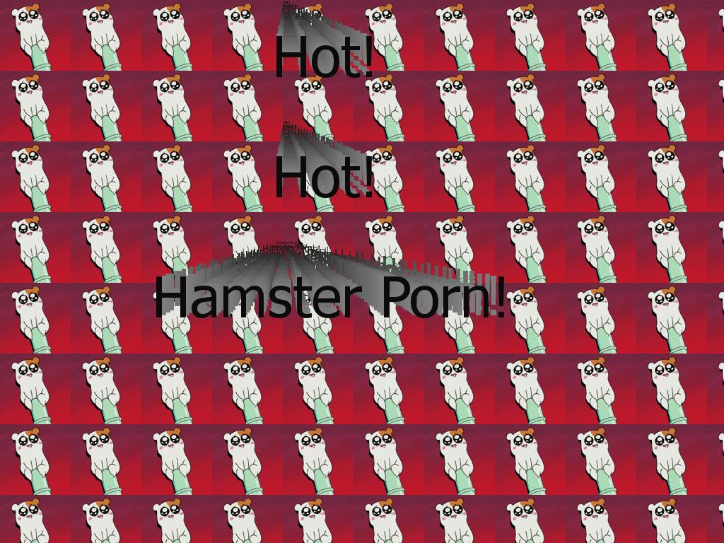 hothamsters