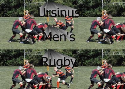 Ursinus Rugby