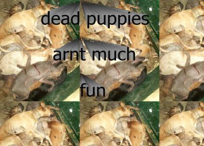DEAD PUPPIES