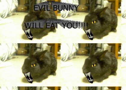 BUNNY WILL EAT YOU!!!!