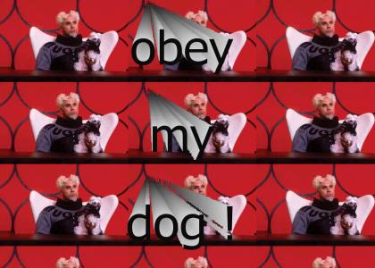 OBEY MY DOG !