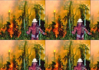 Ultimate Warrior surveys a forest fire