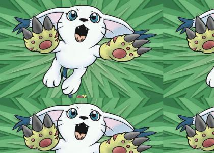 Digimon NEDM (featuring Gatomon)