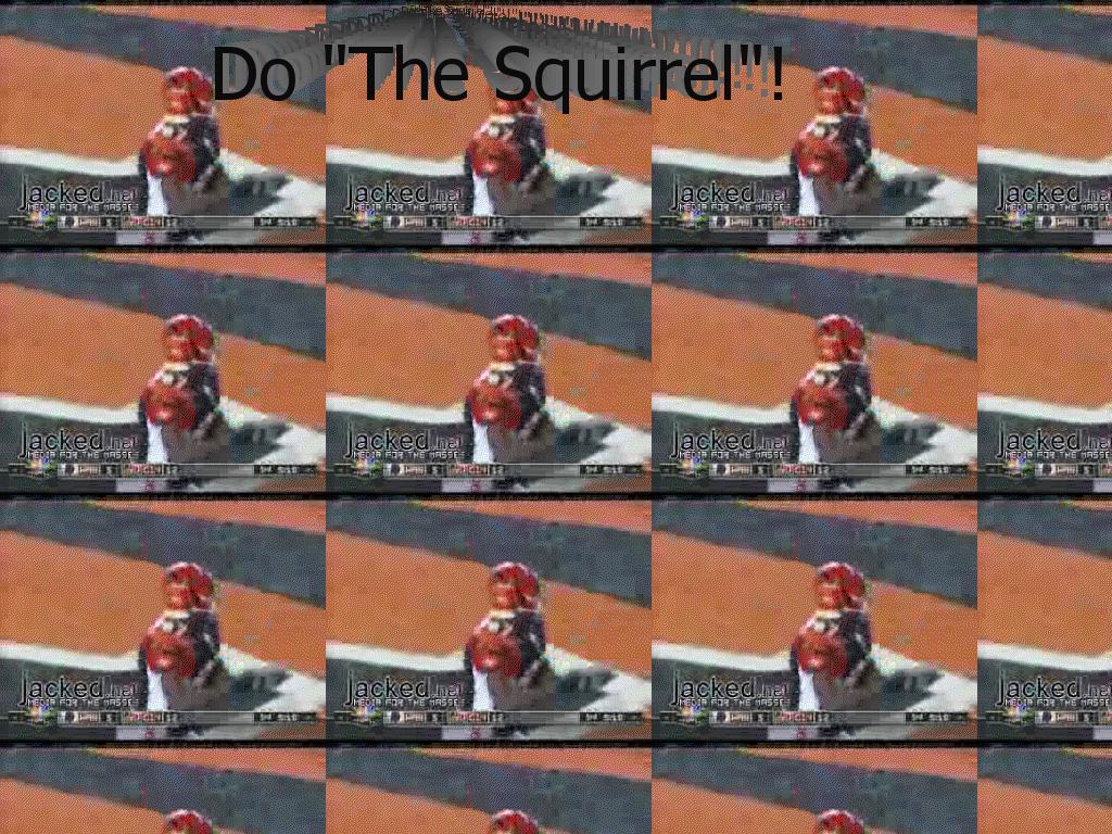 thesquirrel